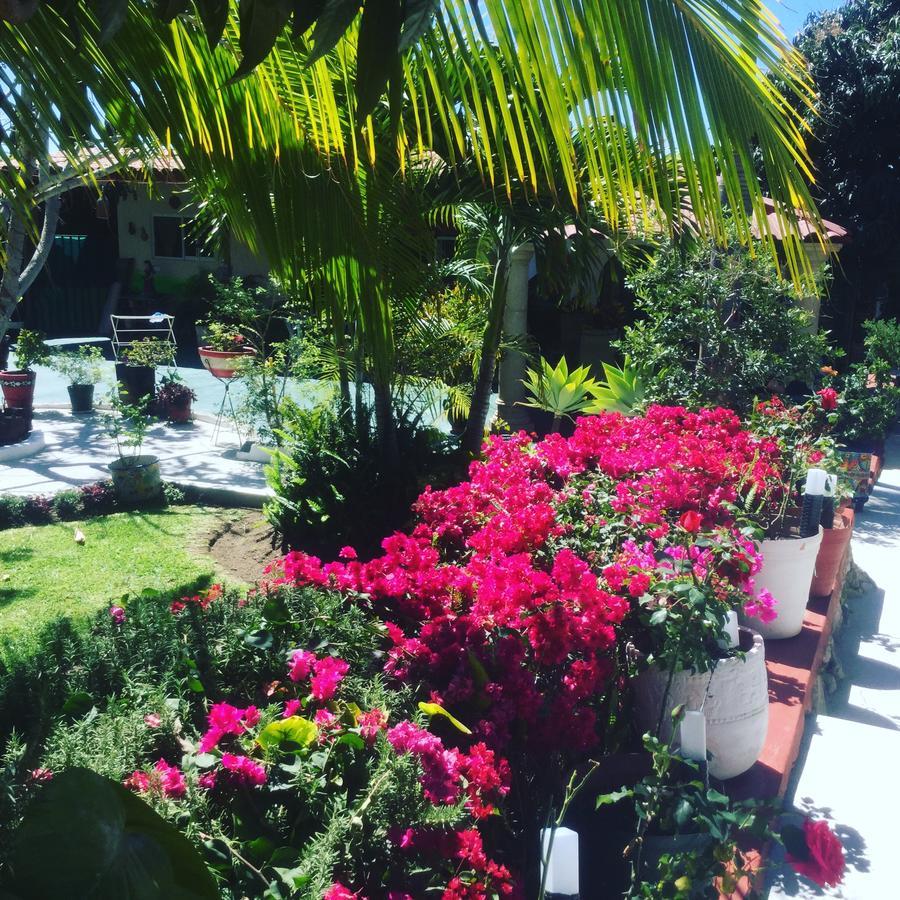 Casa De La Abuela Bed & Breakfast Ajijic Exterior foto